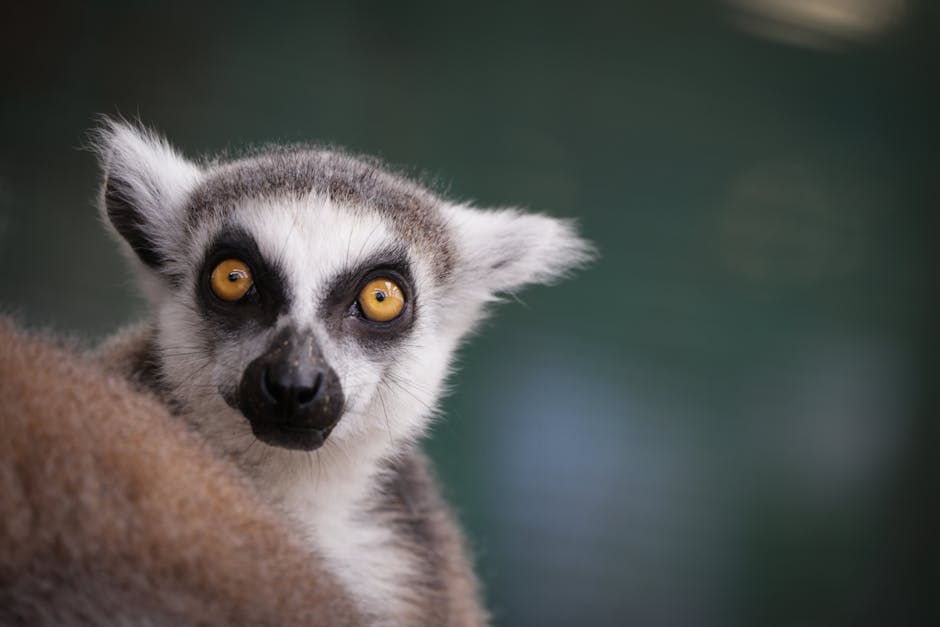水光針：打造水潤光澤肌的秘密武器