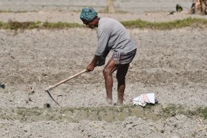 足球新闻深度解析：揭示赛场背后的真相