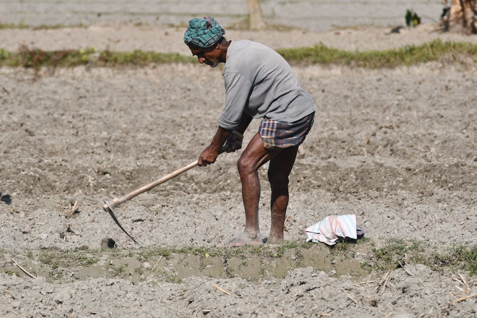足球新闻深度解析：揭示赛场背后的真相